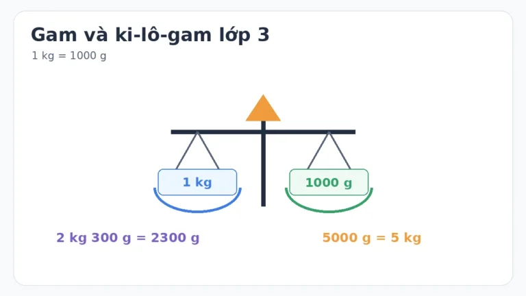 Bảng đơn vị đo khối lượng lớp 3: gam và ki-lô-gam