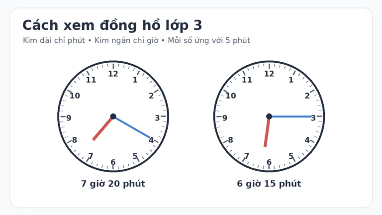 Cách xem đồng hồ lớp 3: Đọc giờ chính xác