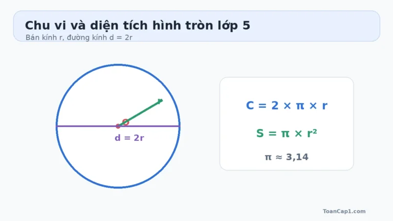Công thức chu vi và diện tích hình tròn lớp 5