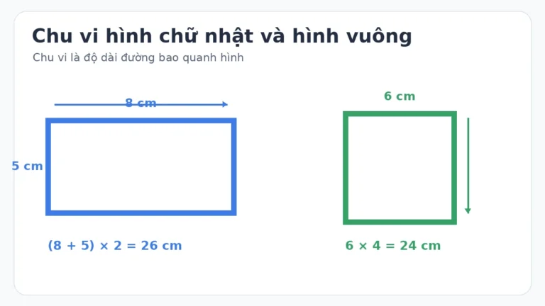 Công thức chu vi hình chữ nhật và hình vuông lớp 3