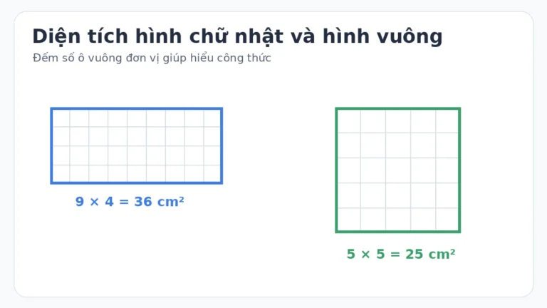 Công thức diện tích hình chữ nhật và hình vuông lớp 3