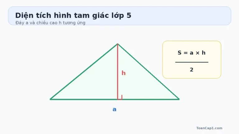 Công thức diện tích hình tam giác lớp 5
