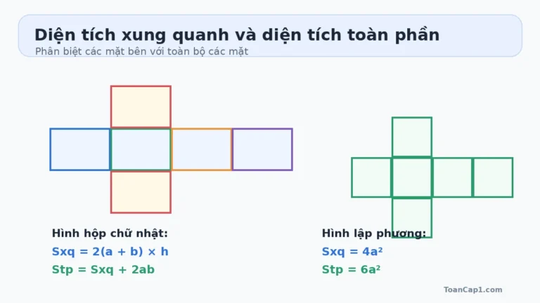 Công thức diện tích xung quanh và diện tích toàn phần lớp 5
