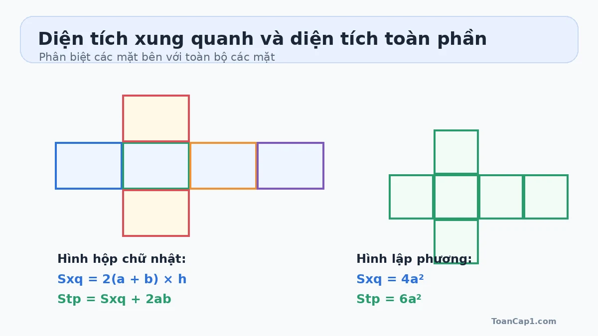 Hình khai triển minh họa diện tích xung quanh và diện tích toàn phần của hình hộp chữ nhật và hình lập phương Hình khai triển minh họa diện tích xung quanh và diện tích toàn phần của hình hộp chữ nhật và hình lập phương