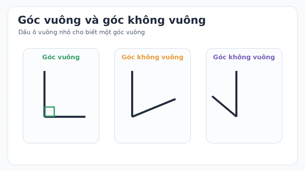 Minh họa một góc vuông và hai góc không vuông lớp 3 Minh họa một góc vuông và hai góc không vuông lớp 3