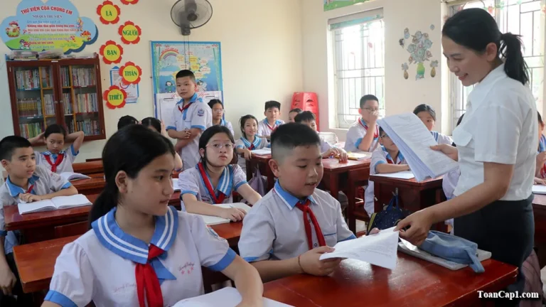 Học sinh lớp 5 cần nắm chắc những kiến thức Toán nào?