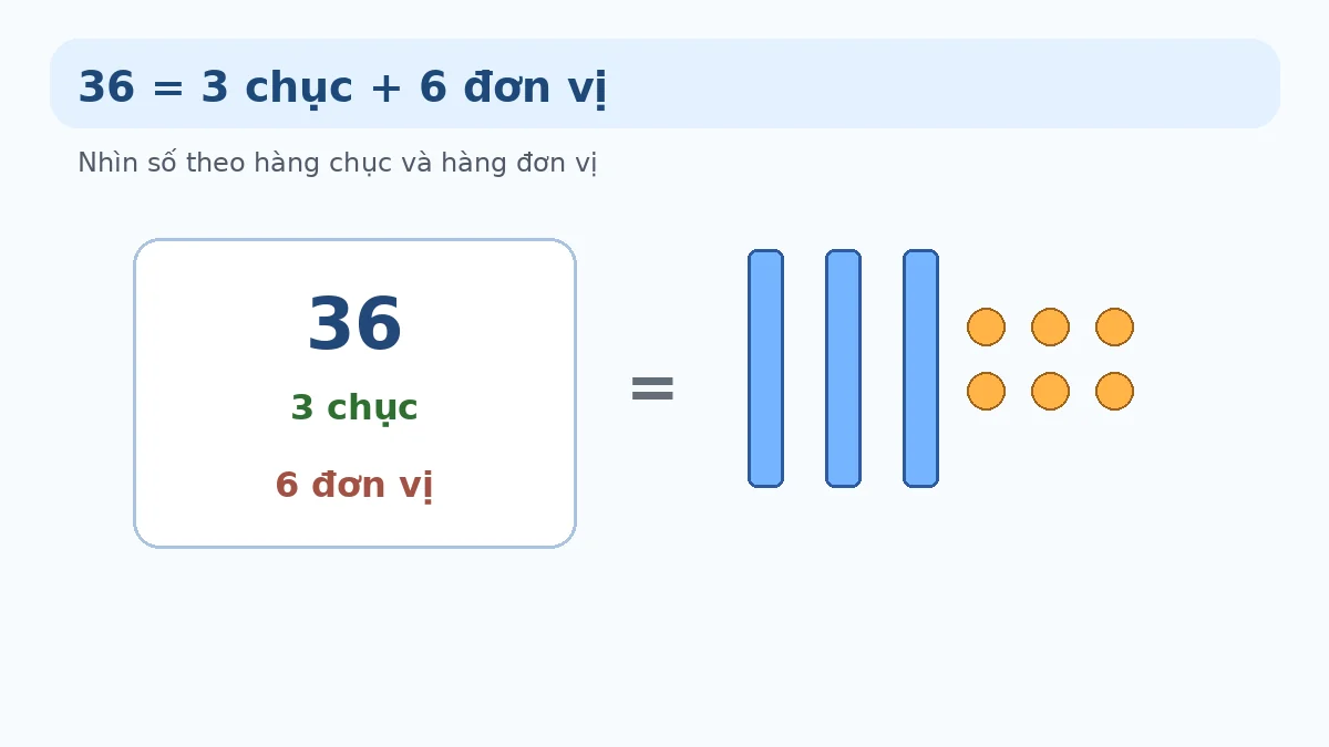 Minh họa số 36 gồm 3 chục và 6 đơn vị