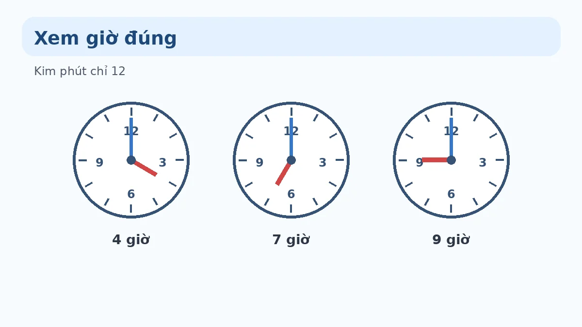 Xem giờ đúng Minh họa đồng hồ chỉ 4 giờ 7 giờ và 9 giờ