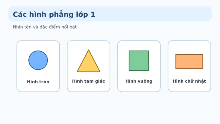 Các hình học lớp 1 cần nhận biết và cách phân biệt