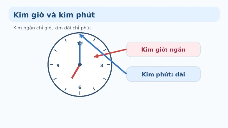 Cách xem đồng hồ lớp 1: Kim giờ, kim phút và giờ đúng