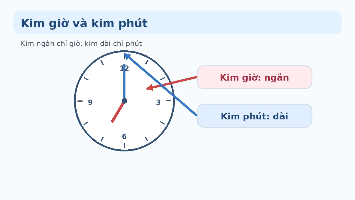 Kim giờ và kim phút Minh họa kim giờ và kim phút trên đồng hồ