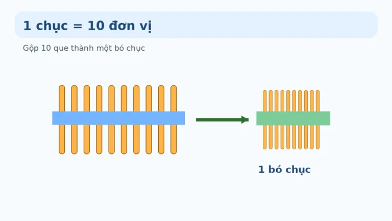 Chục và đơn vị lớp 1: Cách hiểu cấu tạo số có hai chữ số