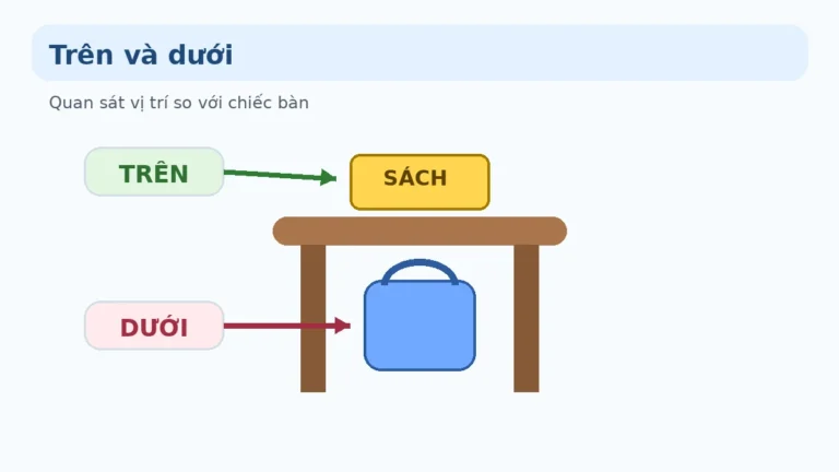 Vị trí và định hướng lớp 1: Trên, dưới, trái, phải, trước, sau