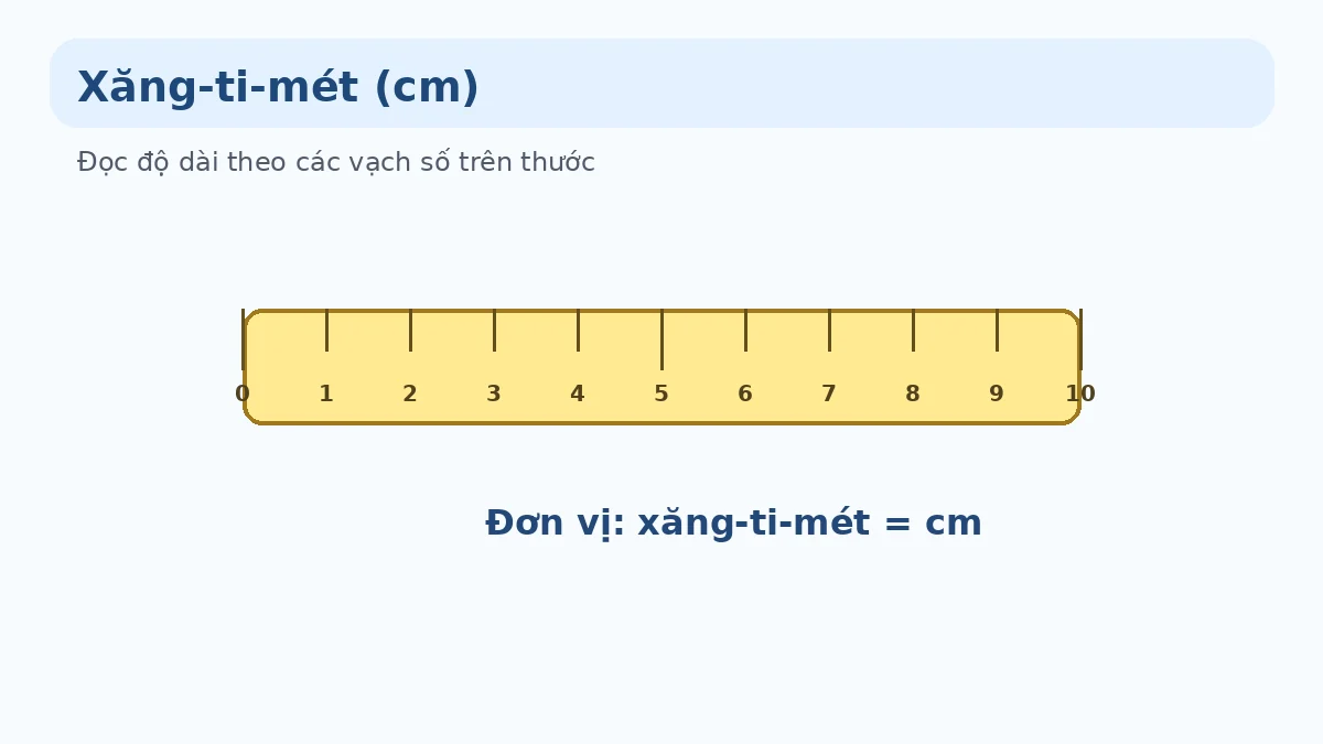 Minh họa thước xăng-ti-mét và đơn vị cm lớp 1