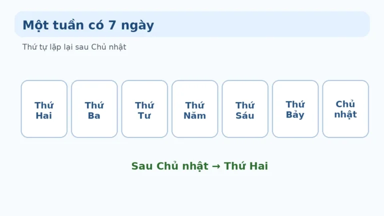 Các ngày trong tuần và cách xem lịch lớp 1