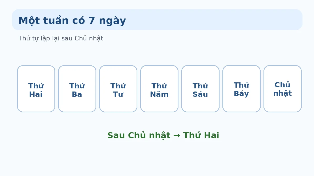 Một tuần có 7 ngày Minh họa thứ tự các ngày trong tuần lớp 1