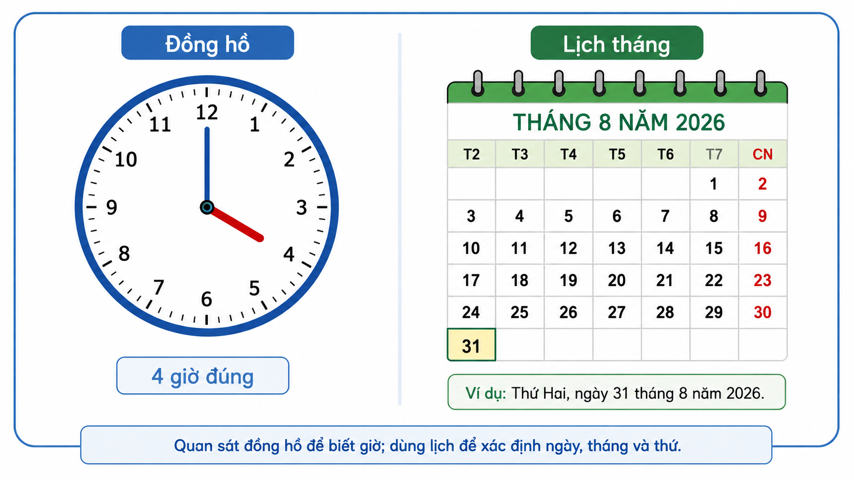 Minh họa đồng hồ 4 giờ đúng và lịch tháng 8 năm 2026