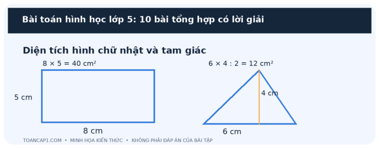 Bài toán hình học lớp 5: 10 bài tổng hợp có lời giải