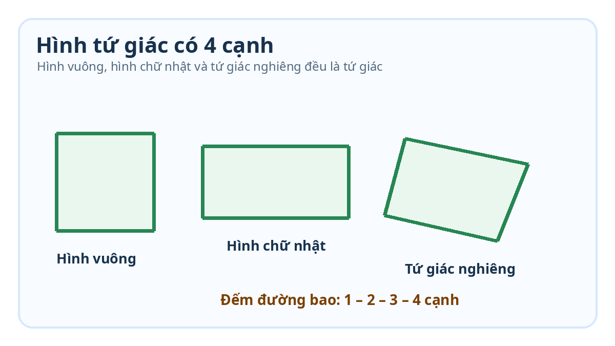 Hình tứ giác lớp 2: Cách nhận biết và đếm hình Minh họa hình vuông hình chữ nhật và tứ giác nghiêng đều có 4 cạnh